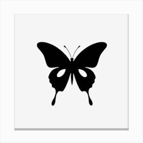 Butterfly In The Dark Canvas Print