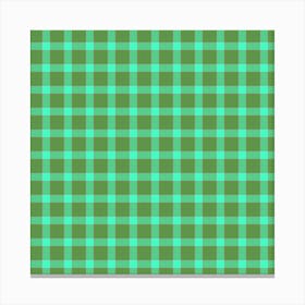 Green Gingham Fabric 1 Canvas Print