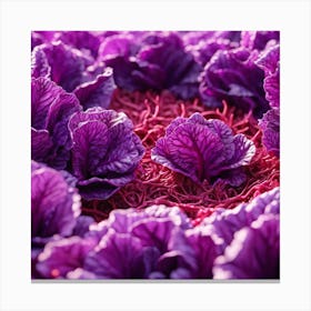 Purple Cabbage 8 Canvas Print