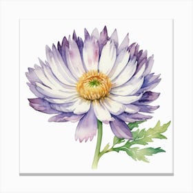 Watercolor Daisy Canvas Print