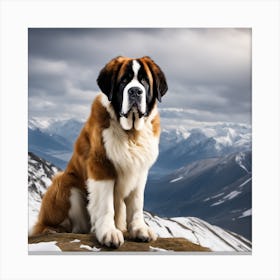 St Bernard Dog 8 Canvas Print