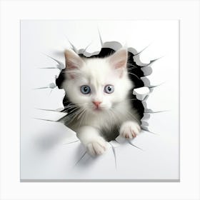 White Kitten Peeking Out Of A Hole 2 Canvas Print