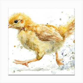 Watercolor Chicken Canvas Print