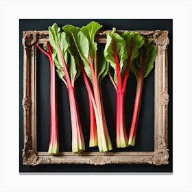 Rhubarb As A Frame (47) Canvas Print