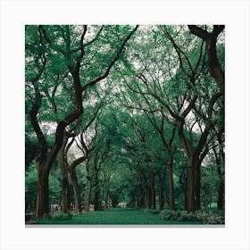 Central Park Canvas Print