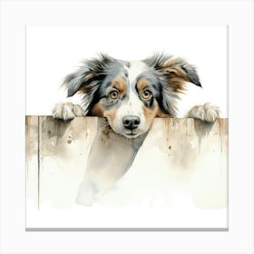 Australian Shepherd 6 Canvas Print