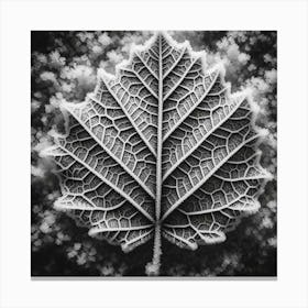 Winter leaf 3 Canvas Print