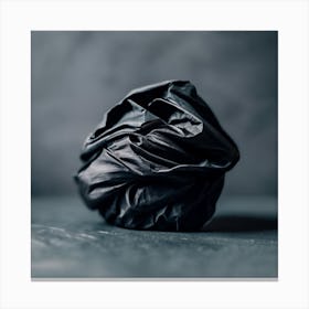 Black Trash Bag Canvas Print