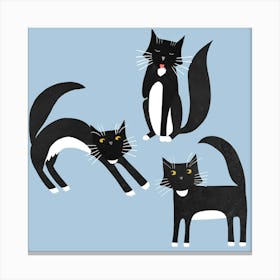 Black And White Tuxedo Cats on Blue Canvas Print