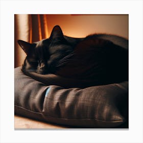 Black Cat Sleeping On A Pillow 1 Canvas Print
