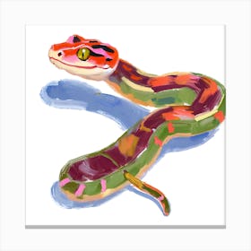Red Tailed Boa Snake 06 Canvas Print