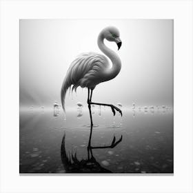 Flamingo Canvas Print