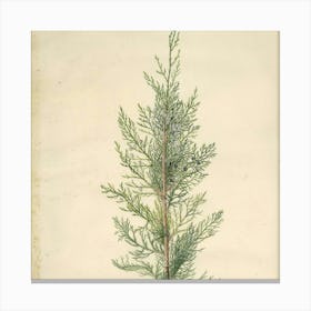 Vintage Christmas 23 Canvas Print