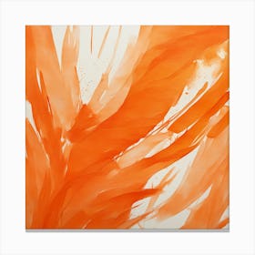 Orange Feathers Canvas Print