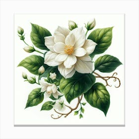 White flowers 6 Canvas Print
