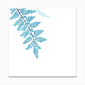 Blue Fern Leaves Canvas Print