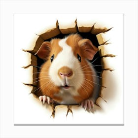 Guinea Pig 19 Canvas Print