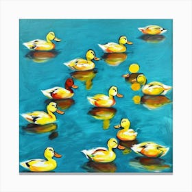 Ducks In The Water 1 Canvas Print