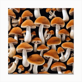 Fungi Canvas Print