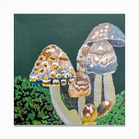 Mushroom Canvas Print