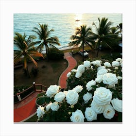 White Roses On The Beach5 Canvas Print