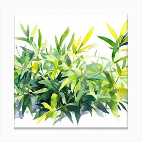 Bamboo Watercolor Canvas Print