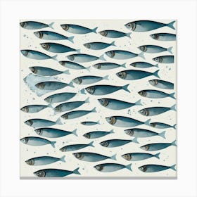 Sardines 8 Canvas Print