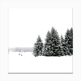 White White Winter 2 Square Canvas Print