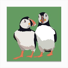 Alright Puffin Canvas Print