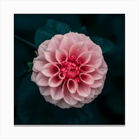 Flower 2 Canvas Print