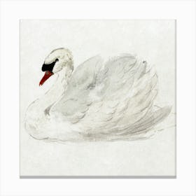 Watercolor Swan Canvas Print