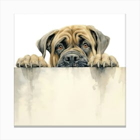 Mastiff Dog Canvas Print