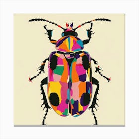 Beetle 20 Canvas Print