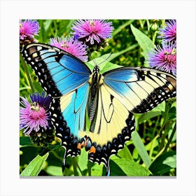 Swallowtail Butterfly 1 Canvas Print