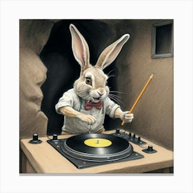 Rabbit Dj 10 Canvas Print