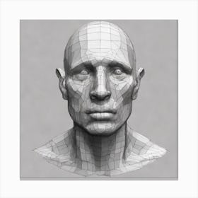 3d Head Model Canvas Print