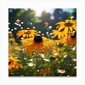 Commonly Known As Black Eyed Susans Canvas Print