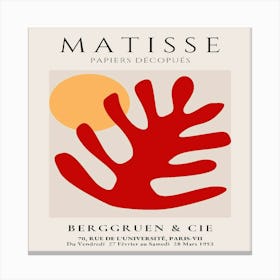 Matisse (27) Canvas Print