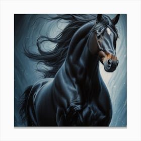 Black Horse Canvas Print