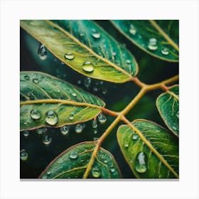 Water Droplets On Leaves Canvas Print