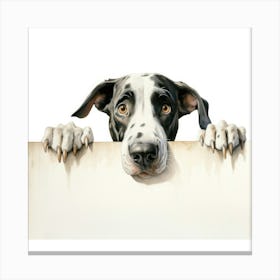 Dalmatian Dog 5 Canvas Print