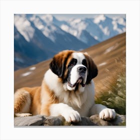 St Bernard Dog 27 Canvas Print