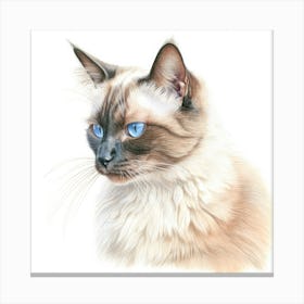 Colourpoint Cat Portrait 2 Canvas Print
