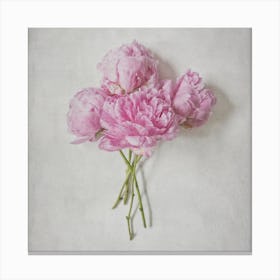 Pink Peonies Bouquet  Square Canvas Print