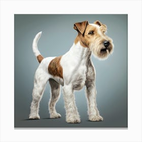 Portrait Of A Wire Hair Fox Terrier Canvas Print