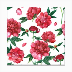 Peonies Canvas Print