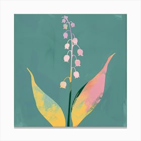 Lily Of The Valley 1 Square Flower Illustration Canvas Print