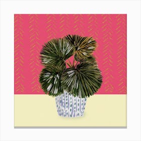 Funky Cactus 2 Square Canvas Print