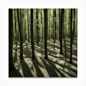 Shadows In The Forest Canvas Print