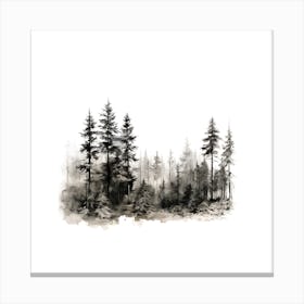 Undisturbed Forest Sketch Canvas Print